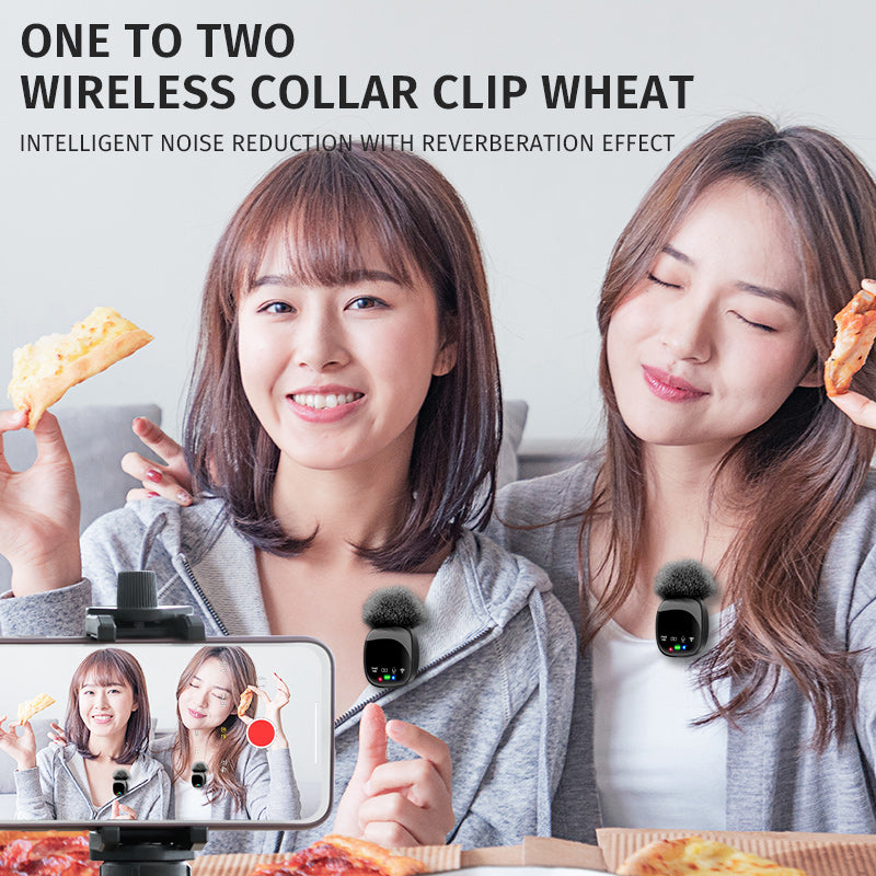 Professional Portable wireless Mic