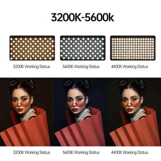 LED Professional Light Pro LED 600