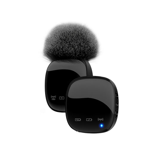 Professional Portable wireless Mic