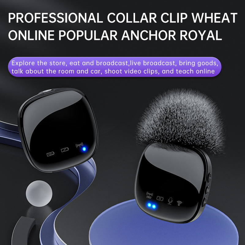 Professional Portable wireless Mic