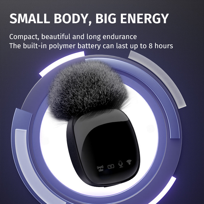 Professional Portable wireless Mic