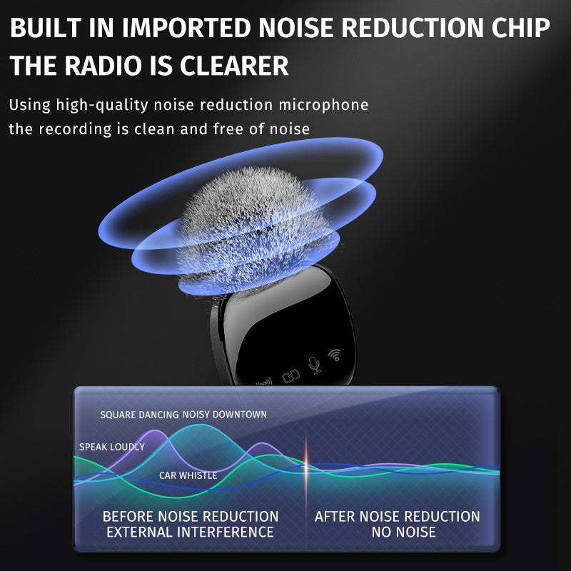 Professional Portable wireless Mic