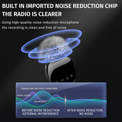 Professional Portable wireless Mic