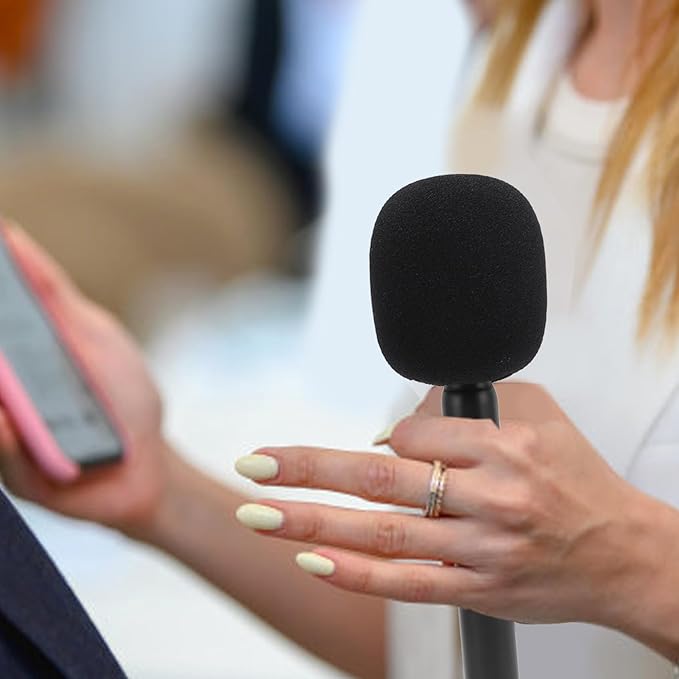 INTERVIEW WIRELESS MICROPHONE