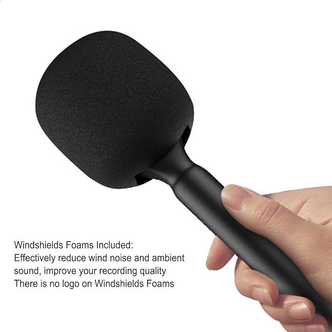 INTERVIEW WIRELESS MICROPHONE