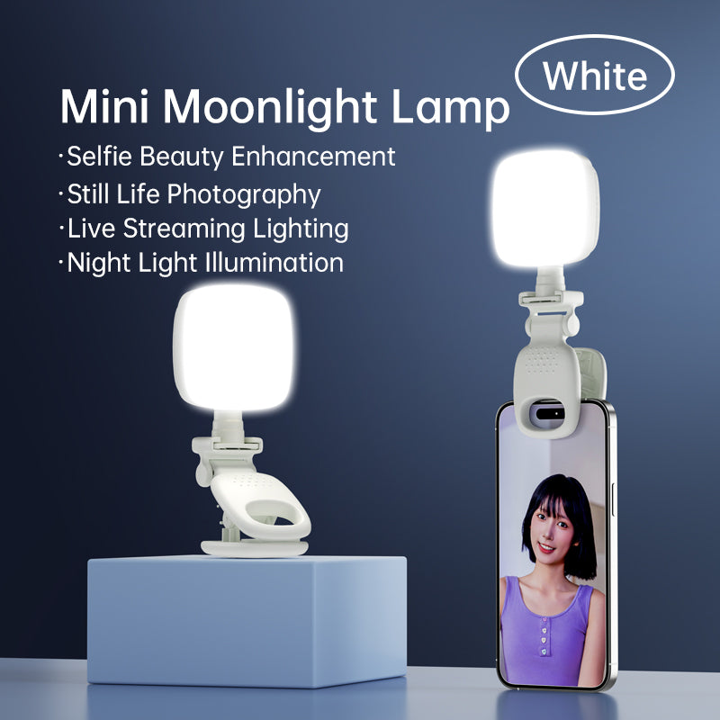 Mini Portable Fill Light