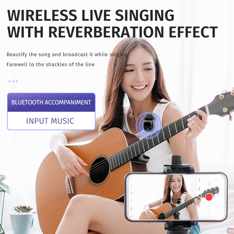 Professional Portable wireless Mic