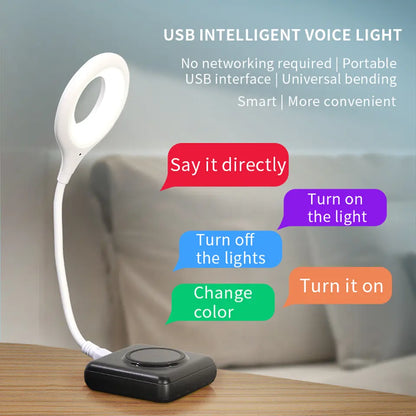 Voice Command Light With 3 Light Modes