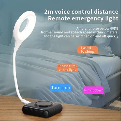 Voice Command Light With 3 Light Modes