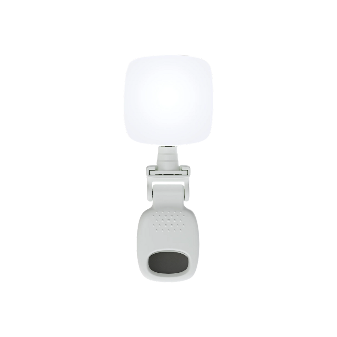 Mini Portable Fill Light