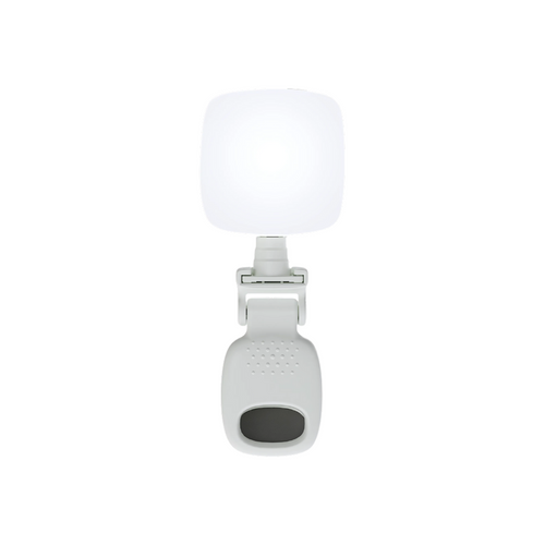 Mini Portable Fill Light