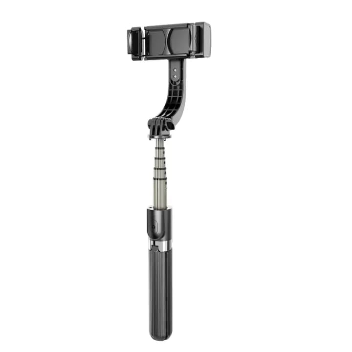 P66 Gimbal + Tripod Stand